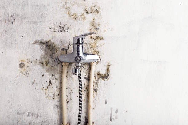 Best Mold Cleaning Services  in Red Bluff, CA