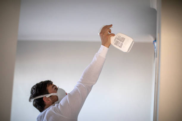 Trusted Red Bluff, CA Mold Removal Experts