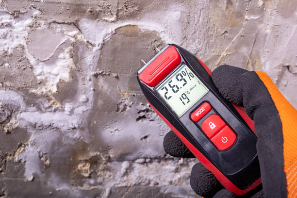Best Best Mold Removal Companies  in Red Bluff, CA