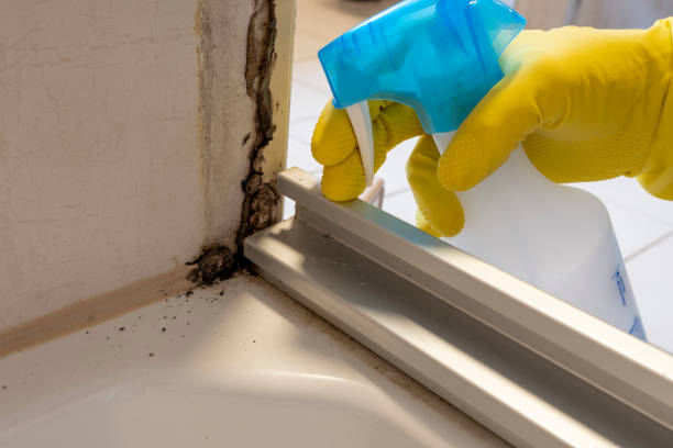 Best Mold Testing  in Red Bluff, CA