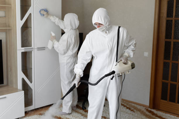 Best Residential Mold Removal  in Red Bluff, CA