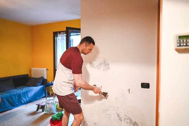 Best Mold Removal Near Me  in Red Bluff, CA