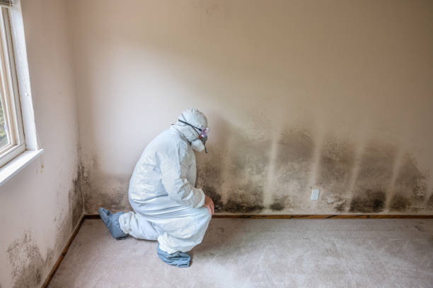 Best Water Damage Restoration  in Red Bluff, CA