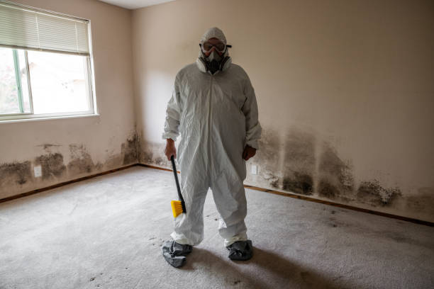Best Attic Mold Removal  in Red Bluff, CA