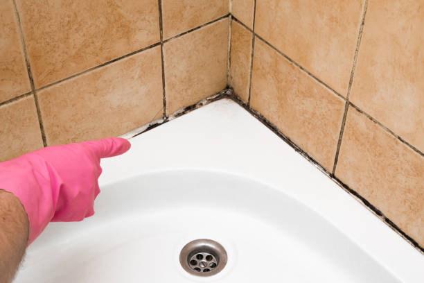 Best Office Mold Removal Services  in Red Bluff, CA